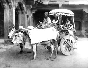 Ox-Drawn Cart, Indien, ca. 1907 af English Photographer